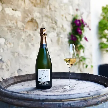 Le Clos Des Terres Soudees 400m2 Dans Les Vignes *