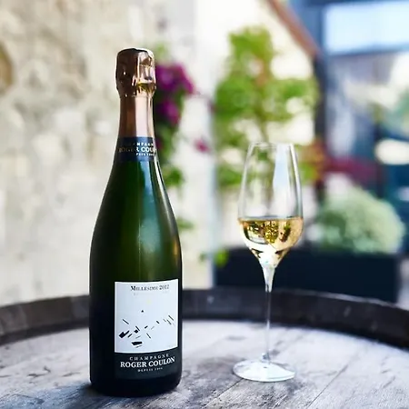 Semesterbostad Le Clos Des Terres Soudees 400m2 Dans Les Vignes Vrigny (Marne)